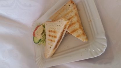 Vlamtosti